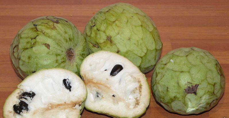 Cherimoja 1024px anone